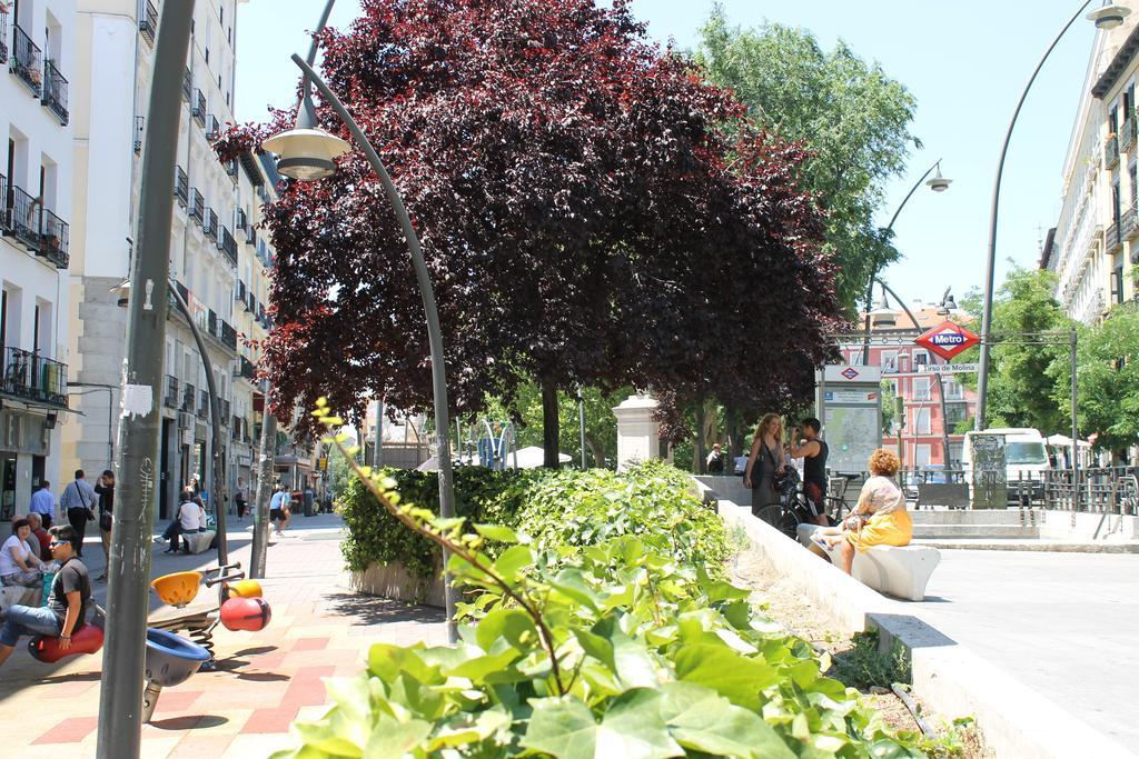 Hostal Graciela Madrid Dış mekan fotoğraf